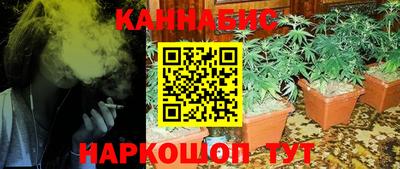амф Новозыбков