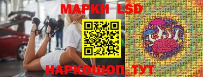 амф Новозыбков